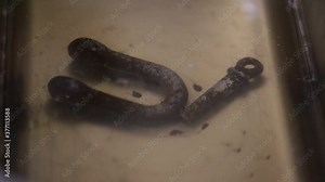 Cleaning systems for remove rust. Ultrasonic cleaners in the mechanic officine