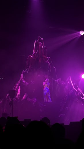 初参戦の感動！新潟で鳥肌を立てた夜