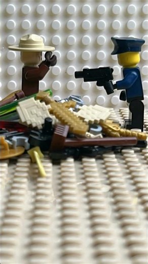 LEGO Police Search Gets Out of Control