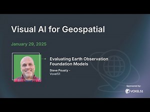 Visual AI for Geospatial: Evaluating Earth Observation Foundation Models