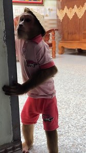 Someone Please Help Me 🙏😢 | Real Monkeys