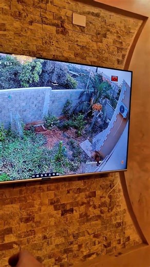 Hikvision Camera & Anti-Theft System | Total Security Guard #viralvideos #cctvinstall #smarthome