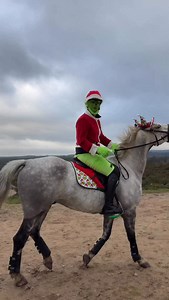 i’m booked and busy hating christmas | Sam Dracott - Farrier