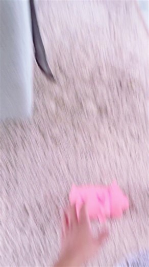 I am brave, however scared of little piggy toy 😂😂😂 #punte #poodlesoftiktok #poodlepuppy #poodlelover