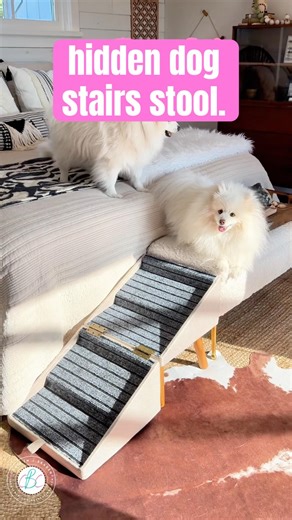 Our Hidden Staircase Hack for Our Mini American Eskimo 🐶✨#petshorts