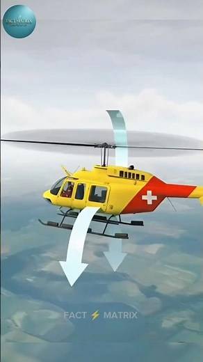How Does a Helicopter Stay in the Air?