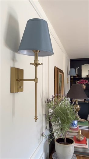 56K views · 982 reactions | Have you seen these yet?! These rechargeable lightbulbs avoid the need for visible cords or hardwiring! They also make a great solution if you have an old lamp that you don’t want to rewire!  see the comment section for the links to the bulbs, sconces, & shades!#homehacks #rechargeablelight #amazonfinds #homefinds | The Rural Legend | Facebook