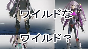 【PSO2NGS】ワイルド！【ソフトウェアトーク実況】