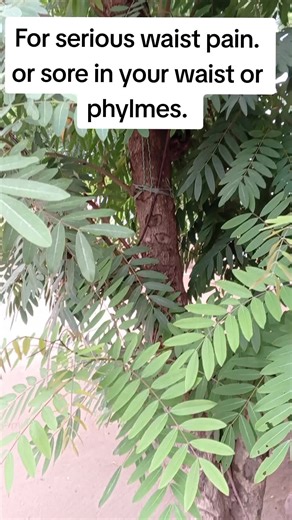 Effective Waist Trainer Solutions for Pain Relief