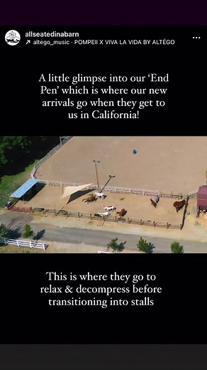 90% of our rescues stay in Texas to quarantine before and if we decide to bring them to California after they are considered ‘clean’ as we call it. Meaning, not sick. Once they are cleared we ONLY transport them out if they can healthily and in no pain, make the trip. That’s something I’ve learned over the last five years of being in rescue that a lot of people don’t realize they are doing for their own selfish reasons. They want to rescue or they want a horse but they don’t realize that transpo