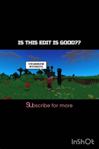 Enderwoman ‪@am_i_alien‬ #minecraft #viral #comedy #funny