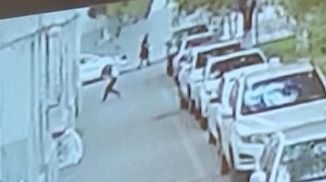 Man Saves 2-Year-Old Boy Falling From 5th-Floor Window