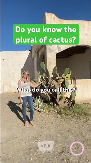 🌵 What’s the plural of cactus? Cactuses? Cacti?