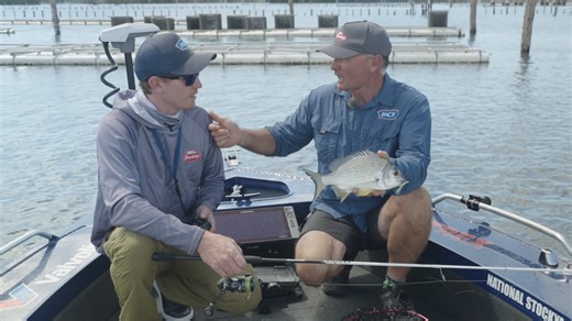 No legs… and that’s exactly how the fish like it! ✅👌 The Berkley PowerBait Shrimp isn’t your average prawn imitation. Straight from the Fish Research Labs in Spirit Lake, USA, this lure was born out of serious science. After testing plenty of shrimp designs, Berkley’s team discovered fish actually smash the legless version more often — proving sometimes, less really is more! 🔥 In this vid, Guesty runs through the latest colour range of this proven fish magnet. 🧲 | BCF - Boating, Camping, Fish