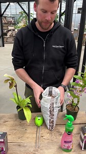 66K views · 2.4K reactions | Need a hand caring for your orchids?? Bryan is here to go over the basics for three different kinds of orchids — check them all out in the video and learn about watering, fertilizing, and getting them to rebloom!  | West Coast Gardens | Facebook