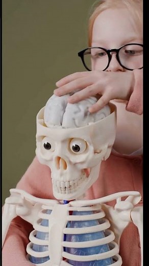 Body Worlds Amsterdam: Is This The Most Unique Experience?