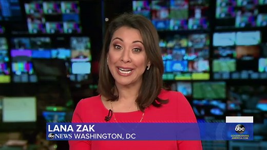 Diver accidentally ends up inside the mouth of a large whale