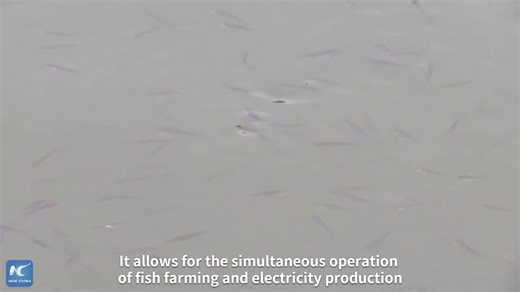 5.9K views · 57 reactions | Hybrid fishery-solar plants are a hot new trend on the waters of Sangeng Village, east China's Jiangxi Province. Click to learn how the perfect match of fish farming and power generation is making big waves in China. | China Xinhua Sci-Tech | Facebook