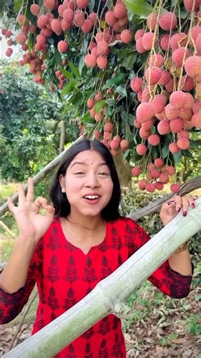 গরমে বেশি বেশি ফল খান। Funny video #funny #viral #shorts #trending #fruit #youtubeshorts