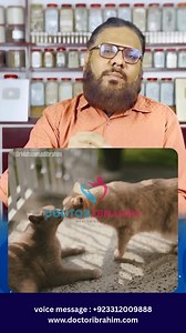 1.2M views · 17K reactions | Noshadar Ka Oil Kaise Banaye, Fayde.#DoctorIbrahim #ClientTestimonials #HealthTransformation #NaturalHealing #PakistanWellness #HappyClients | Doctor Ibrahim | Facebook