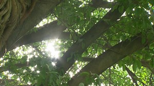 396K views · 2.3K reactions | PM Narendra Modi shares glimpses from his exercise routine. Have a look. | PMO India | Facebook