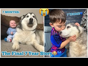The Final Full 7 Year Story Of My Baby & Husky Becoming Best Friends!😭💖. Fly High Millie. [THE END]