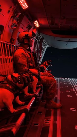 Trinity Canine Services_LLC on Instagram: "How was your weekend? Mine was a little busy. 📍Located in Milton, Delaware 📍Serving the entire DelMarVa region and beyond🌎 "GIVING DOGS A NEW LEASH ON LIFE" 👇🏼🔥👇🏼🔥👇🏼🔥👇🏼🔥👇🏼🔥👇🏼🔥👇🏼 🕶️PRIVATE LESSONS for your dog and coaching for you. ⏳BOARD & TRAIN Free, no obligation consultation where you are given an in depth explanation of training protocols and expectations are managed. Real world livibility, real world results. 👇🏼Please cont