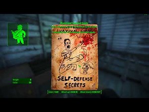 Fallout 4 Immersive Gameplay Reboot 03