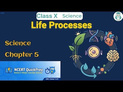 Life Processes | Class 10 Science Chapter 5 | CBSE NCERT | Quick Revision in 7 Mins