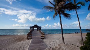 Holiday things to do: 16 Florida experiences worth the drive