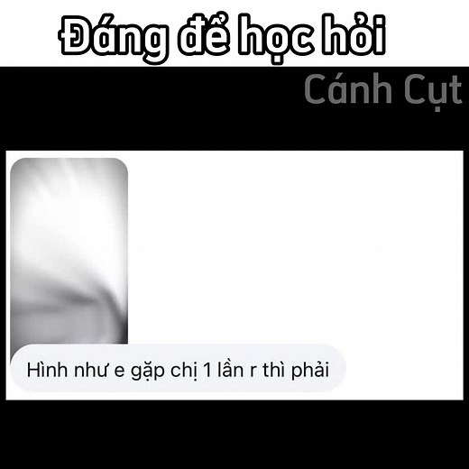 Kiến Thức Cần Biết Về Chim Cánh Cụt