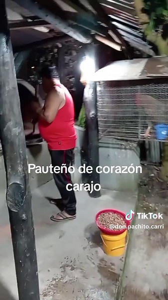 Videos de Don Pachito Carrion (@don.pachito.carri) con “sonido original - 🇪🇨ecua.chico.tonny🇺🇸”