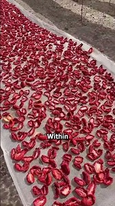 Sun-Dried Tomato Magic🍅