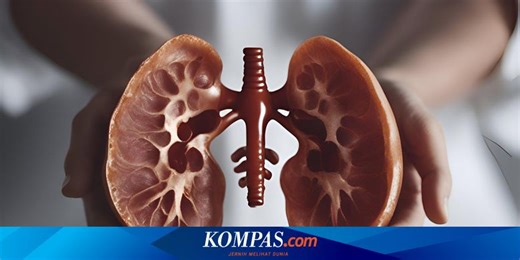 7 Suplemen yang Ampuh untuk Cegah Masalah Ginjal, Wajib Tahu!