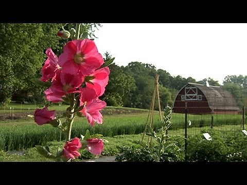 Seed Savers Exchange