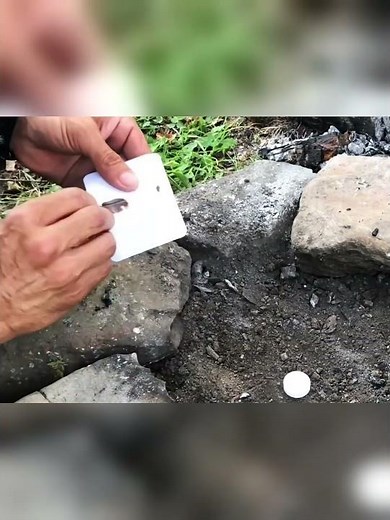 🌲Built 4 Incredible Forest Shelters Using Only Primitive Tools 🔥 Ultimate Bushcraft Survival