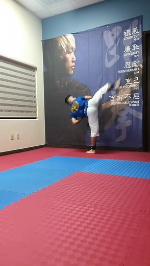 Double Side Kick Practice in Taekwondo
