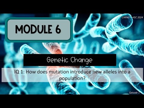 Module 6 Episode 1a Mutations