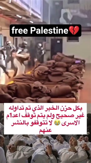 free Palestine #اكسبلور #explore #explorepage #explore #exploremore #explorer