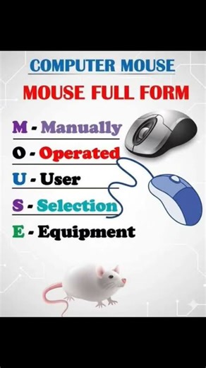 full form of computer mouse