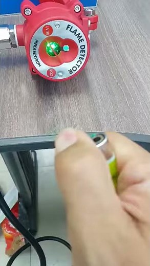 Mekasentron flame detector test Video 20190820