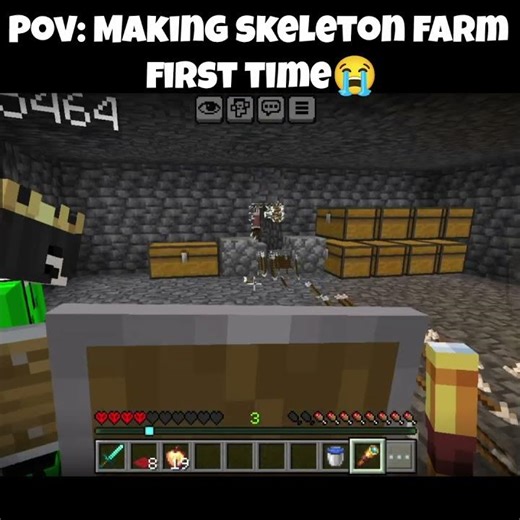 Making Skeleton Farm: Expectations vs Reality!