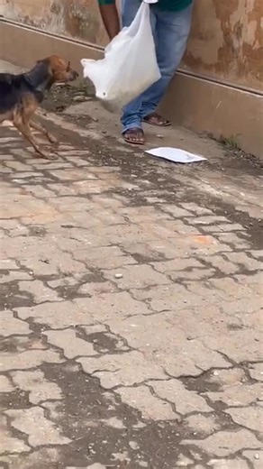 Otara Gunewardene on Instagram: "Today we did another big feeding round in many of the flood hit areas on the outskirts of Colombo. In many places they were so hungry like this poor mum who was so desperate for food 🙁"
