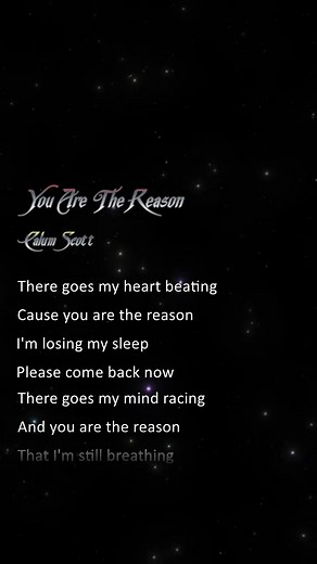 You Are The Reason - Calum Scott Lyrics Video
