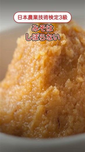 しょうゆとみそ、実は作り方がほぼ同じ?違いはたった1つの工程 #Shorts