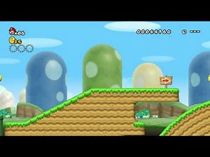 New Super Mario Bros Wii Pipe Randomizer
