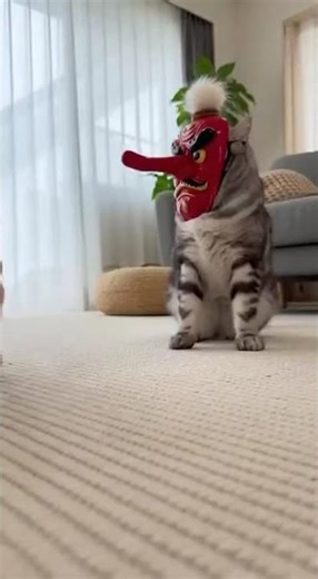 Chihuahua Sees Cat Wearing a Tengu Mask… and Runs for Its Life! 😂🐶👺 #funnyshorts #catvsdog