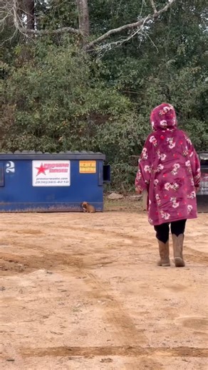 Off The Grid Animal Sanctuary Inc on Instagram: "Live Rescue | Part 1 Being a full-time animal rescuer means my eyes are always scanning the road. It’s instinct at this point. So when I caught a glimpse of a tiny furry ball curled up against a dumpster, I didn’t hesitate. I made a U-turn and followed my gut. There she was. A little puppy. Alone. Shivering. Waiting. She was terrified. When I got close, she let out the smallest growl, the kind that comes from fear, not aggression. I slowed everyth