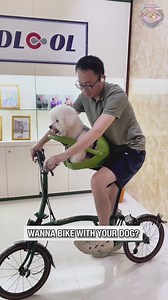 Your dog would love it! 🤩 | Bright Side Fun