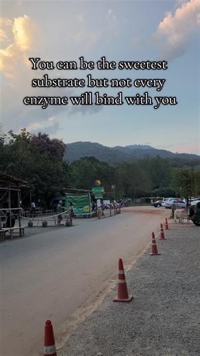 Understanding Enzyme-Substrate Binding in Biology